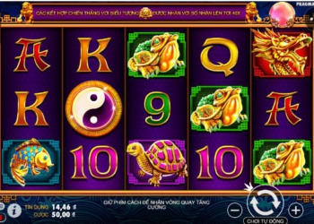 Slot game 5 Lions hấp dẫn mới lạ không thể bỏ qua