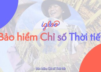 39 hộ nông dân ở An Giang đủ điều kiện để nhận tiền hỗ trợ từ Bảo hiểm Chỉ số Thời tiết sau đợt mưa lớn tháng 5