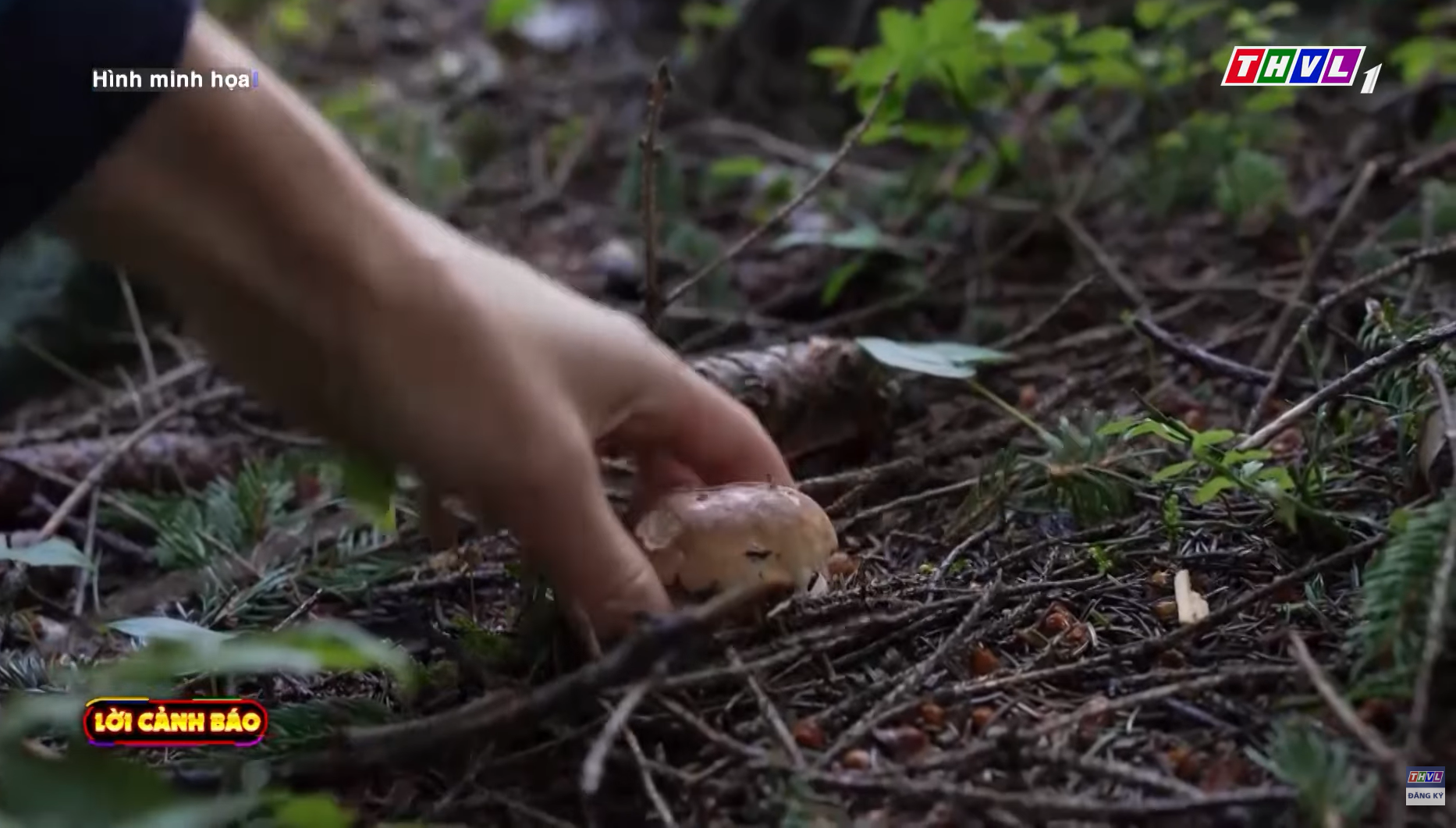 Nguy hại khi tùy tiện sử dụng bổ sung vitamin