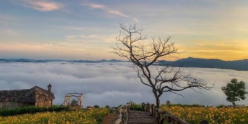 Đà Lạt chạm ngõ mùa lập đông rủ rê hội bạn trẻ kéo về cắm trại glamping bên hồ và thức giấc đón biển mây Cầu Đất