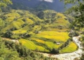 Sapa tháng 10 đón mùa mây luồn kỳ ảo và những dải lúa chín muộn thung lũng Mường Hoa vẫy gọi hội mê xê dịch