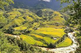 Sapa tháng 10 đón mùa mây luồn kỳ ảo và những dải lúa chín muộn thung lũng Mường Hoa vẫy gọi hội mê xê dịch