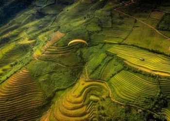 Mù Cang Chải rực vàng mùa gặt tháng 10 kích thích hội mê phượt bay dù lượn trên đỉnh Khau Phạ và săn hoàng hôn đồi Móng Ngựa