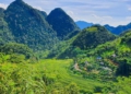Pù Luông bước vào mùa vàng rực rỡ tháng 10 rủ rê hội bạn trẻ bơi hồ vô cực ngắm sóng lúa bản Đôn và tiệc nướng vịt Cổ Lũng