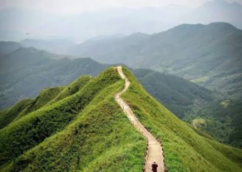 Bình Liêu nhuộm trắng mùa cỏ lau tháng 10 cùng trải nghiệm trekking sống lưng khủng long mốc 1305 chạm mây biên giới