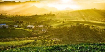 Mộc Châu đón tiết thu tháng 10 se lạnh cùng trải nghiệm cắm trại rừng thông Bản Áng và check-in đồi chè trái tim xanh ngát